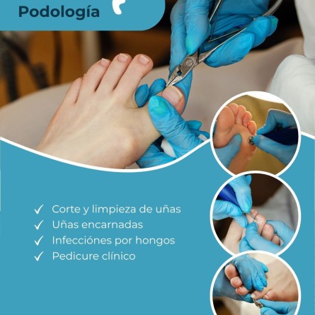 Diseno sin titulo 2